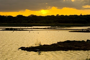 Dusk Landscape Photography Prints: Scrape at Minsmere at dusk May