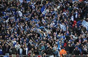 Carling Cup - Final - Arsenal v Birmingham City - Wembley Stadium Carling Cup - Final - Arsenal v Birmingham City - Wembley Stadium