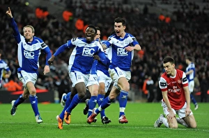 Carling cup winners 2011/goal celebrations/carling cup final arsenal v birmingham city Carling cup winners 2011/goal celebrations/carling cup final arsenal v birmingham city