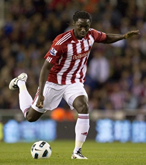 STOKE CITY FOOTBALL CLUB - Stoke City FC v Aston Villa - Premier League game 13 september 2010 - Stoke City win 2-1 STOKE CITY FOOTBALL CLUB - Stoke City FC v Aston Villa - Premier League game 13 september 2010 - Stoke City win 2-1