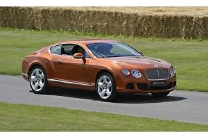 Bentley Collection: Bentley Continental GT (new shape)