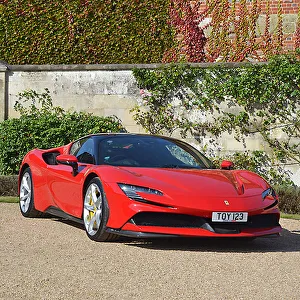 FER800070 Car Print