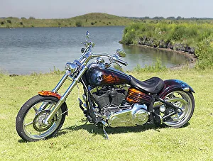 Harley Davidson Dyna Wide Glide custom paint release form 03-06-2011-03 Harley Davidson Dyna Wide Glide custom paint release form 03-06-2011-03