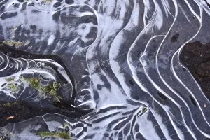Frozen Lake Photography Prints: Frozen pool, close-up of ice patterns, Peak District N. P. Derbyshire, England, december