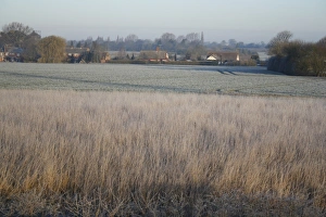 English Countryside Winter Scene Prints: Frost covered permanent set-a-side beside arable field, Bacton, Suffolk, England, march
