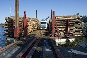 Baltic Sea Shipping Prints: Lorry with grapple loading logs onto timber barge