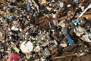 Microplastics in Rockpool Print