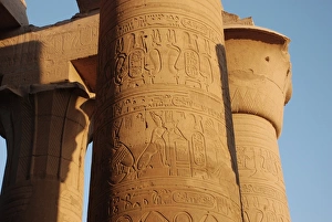 African Historical Landmarks Prints: Reliefs on column, Outer Hypostyle Hall, Temple of Kom Ombo, Kom Ombo, Egypt, january