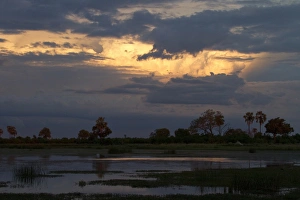 African Sunset Prints: Setting, sun, water, Lebala, Okavango, Delta, Botswana; africa; african; sunset