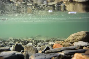 Lake District Landscape Photography Prints: Stones on lakebed reflected underneath surface