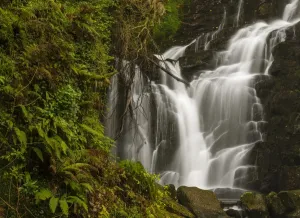 Torc Waterfall Ireland Prints: View of waterfall, Torc Waterfall