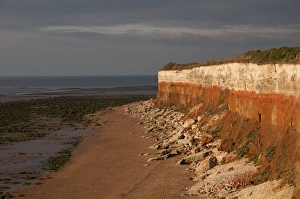 Hunstanton Cliffs Prints: View of eroded chalk and carrstone sea cliffs, Hunstanton, Norfolk, England, october