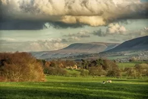Lancashire Collection: View across farmland towards distant fells, looking towards Pendle Hill, Clitheroe
