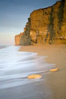 Sandy Beach Landscapes Prints: View of sandy beach and sea cliffs