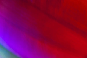 Colorful Backgrounds Prints: Abstract Light Pattern