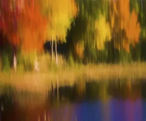 Danita Delimont Abstract Art Prints: Abstract Fall
