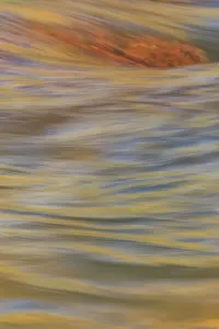 River Surface Reflection Print