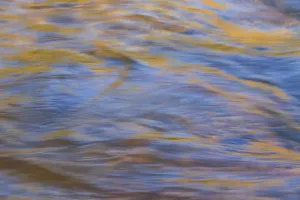 River Reflections Print, Lower Deschutes River