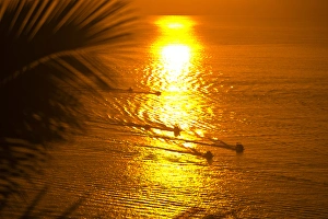 Aerial view of fishing boats at sunrise from Pedregal Hill, Cabo San Lucas, Baja California Aerial view of fishing boats at sunrise from Pedregal Hill, Cabo San Lucas, Baja California