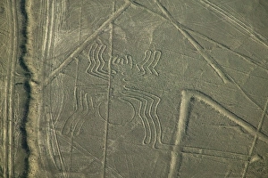Aerial view of spider drawing, Nazca Lines, Peru Aerial view of spider drawing, Nazca Lines, Peru