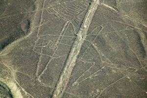 Aerial view of whale drawing, Nazca Lines, Peru Aerial view of whale drawing, Nazca Lines, Peru