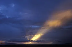 Africa, Kenya, Masai Mara Game Reserve, Setting sun sends shaft of light through Africa, Kenya, Masai Mara Game Reserve, Setting sun sends shaft of light through