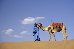 Africa, Morocco, Tinfou (near Zagora) Man in traditional dress leading camel on sand dunes Africa, Morocco, Tinfou (near Zagora) Man in traditional dress leading camel on sand dunes