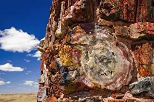 Agate House, Petrified Forest National Park, Arizona, USA Agate House, Petrified Forest National Park, Arizona, USA