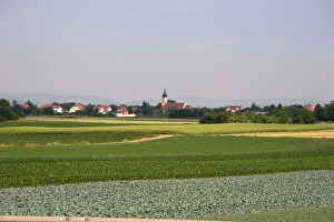 Agriculture near Strasbourg, Eastern France. france, french, europe, european Agriculture near Strasbourg, Eastern France. france, french, europe, european
