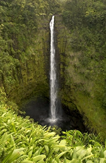 Akaka Falls, north of Hilo, on the Big Island of Hawaii Akaka Falls, north of Hilo, on the Big Island of Hawaii