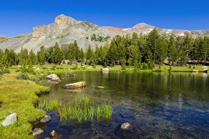Alpine tarn in Dana Meadows under Mount Dana, Tuolumne Meadows, Yosemite National Park Alpine tarn in Dana Meadows under Mount Dana, Tuolumne Meadows, Yosemite National Park