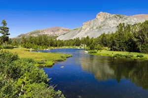 Alpine tarn in Dana Meadows under Mount Dana, Tuolumne Meadows, Yosemite National Park Alpine tarn in Dana Meadows under Mount Dana, Tuolumne Meadows, Yosemite National Park
