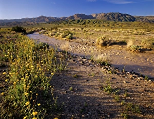 Amargosa River and Owlshead Range in Death Valley National Park in California Amargosa River and Owlshead Range in Death Valley National Park in California