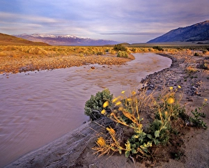 Amargosa River and Pantamint Range in Death Valley National Park in California Amargosa River and Pantamint Range in Death Valley National Park in California