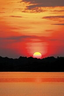 Amazon River Basin Collection: Amazon Jungle, Brazil, Sunsets over the Amazon river and jungle