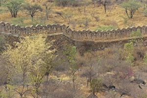 Ancient wall around old fort above Udaipur, India Ancient wall around old fort above Udaipur, India