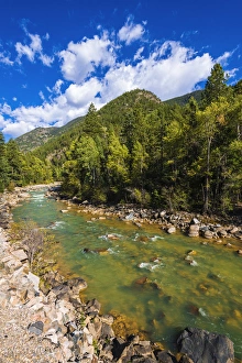 The Animas River, San Juan National Forest, Colorado USA The Animas River, San Juan National Forest, Colorado USA