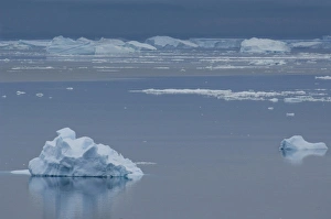 Antarctica, Antarctic Penninsula, Brown Bluff (63832'S, 56855'W). Iceberg Antarctica, Antarctic Penninsula, Brown Bluff (63832'S, 56855'W). Iceberg