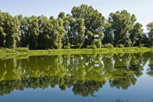 Arno River at Ponte Buriano, Ponte Buriano, Arezzo Province, Tuscany, Italy , Europe Arno River at Ponte Buriano, Ponte Buriano, Arezzo Province, Tuscany, Italy , Europe