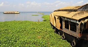 Asia, India, Kerala (Backwaters). Kerala houseboats on Kumarakom Lake Asia, India, Kerala (Backwaters). Kerala houseboats on Kumarakom Lake