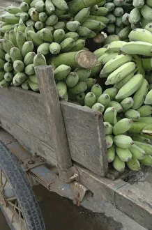 Images Dated 24th January 2006: Asia, Vietnam. Green bananas on an old wooden cart, Hoi An, Quang Nam Province