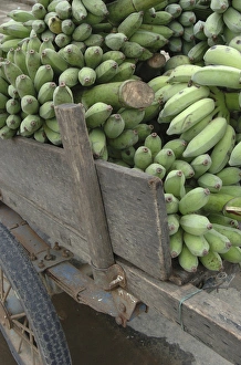 Asia, Vietnam. Green bananas on an old wooden cart, Hoi An, Quang Nam Province Asia, Vietnam. Green bananas on an old wooden cart, Hoi An, Quang Nam Province