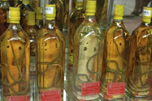 Asia, Vietnam. Snake wine for sale in a Saigon store, Ho Chi Minh City Asia, Vietnam. Snake wine for sale in a Saigon store, Ho Chi Minh City