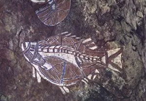 Cave Paintings Collection: Australia, Northern Territory, Kakadu NP. Aboriginal cave painting of a fish, one