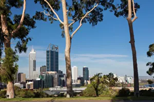 Australia, Western Australia, Perth, city skyline from Kings Park, late afternoon Australia, Western Australia, Perth, city skyline from Kings Park, late afternoon