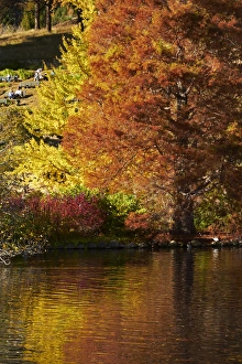 Autumn colour reflected in duck pond, Botanic Gardens, Dunedin, Otago, South Island Autumn colour reflected in duck pond, Botanic Gardens, Dunedin, Otago, South Island