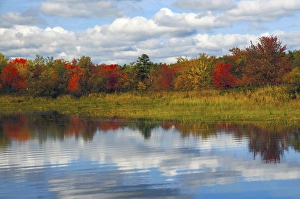 Autumn at Sebago Lake State Park, Raymond, Maine, USA Autumn at Sebago Lake State Park, Raymond, Maine, USA
