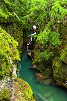 Avalanche Creek, Glacier National Park, Montana USA Avalanche Creek, Glacier National Park, Montana USA