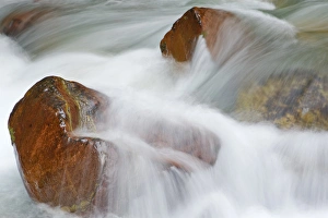 Avalanche Creek in Glacier National Park in Montana Avalanche Creek in Glacier National Park in Montana