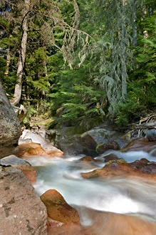 Avalanche Gorge and Creek, Glacier National Park, Montana Avalanche Gorge and Creek, Glacier National Park, Montana